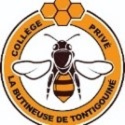 Logo de l'école COLLEGE PRIVE LA BUTINEUSE DE TONTIGOUINE